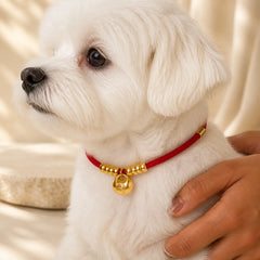 Red String Bead Protection Adjustable Cats Small Dogs Pet Collar featuring Red String, Fu Character