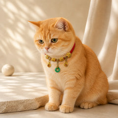 Red String Fu Character Peace Buckle Strength Adjustable Cats Dogs Pet Collar featuring Red String, Fu Character, Peace Buckle